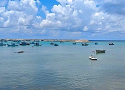 Mùa hè kỳ vọng 2025