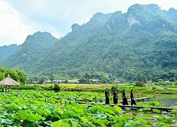 Mùa sen Nà Bản