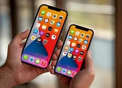 Những lưu ý quan trọng cần biết khi mua iPhone cũ