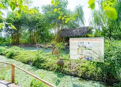 'Ốc đảo xanh' ở công viên Thực vật cảnh Việt Nam
