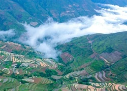 Sắc màu ruộng bậc thang vùng cao Bắc Yên