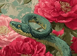 Tuổi Tỵ muốn đổi đời, đừng bỏ qua 3 con giáp quý nhân này! Có ai đang ở gần bạn không?