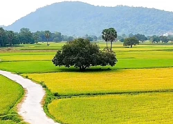 Về An Giang du lịch ngày hè