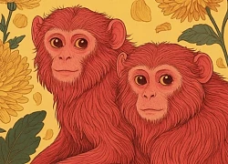 3 năm tới phát tài phát lộc: 4 con giáp vừa thăng tiến nhanh, vừa ấm êm chuyện gia đình