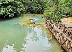 Vẻ đẹp của Kuang Si - thác nước quyến rũ nhất ở Lào