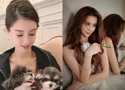 Angelababy xuất hiện giữa tin đồn nhường biệt thự cho bạn gái mới của chồng cũ?