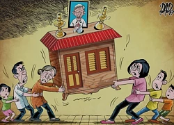 Cả nhà tranh giành tài sản của ông nội, đến khi giám định chữ ký trong di chúc, luật sư nói một câu khiến tất cả á khẩu