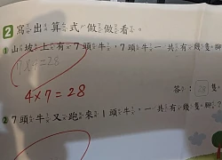 Con gái làm phép tính "74=28" bị gạch sai, bố vò đầu bứt tai không hiểu tại sao, dân mạng thì cãi nhau ầm ầm