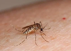 Đối tượng nào mắc sốt xuất huyết dễ bị trở nặng?