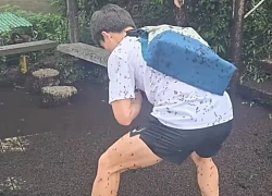Người Hàn Quốc khổ sở vì 'bọ tình yêu'