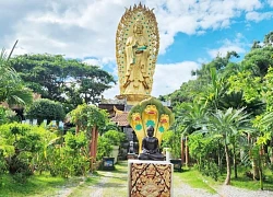 Nhiều điểm check-in hút du khách trên cung đường từ Phú Yên đến Bình Định