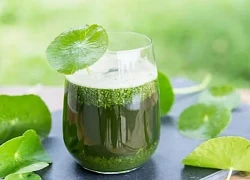 Những cách làm đẹp với rau má - người bạn đồng hành lý tưởng của làn da