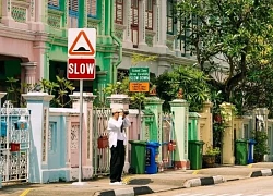 Trải nghiệm Singapore thật khác qua các tuyến xe buýt công cộng