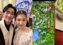 Thúy Ngân "lẻ bóng" trong buổi tiệc, Võ Cảnh bặt tăm! drama tình ái đến hồi kết?