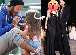 Tiểu thư Harper Beckham tia hy vọng hàn gắn anh cả và gia đình, lộ diện sốc