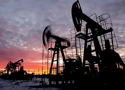 Ukraine kêu gọi Anh chấm dứt hợp đồng năng lượng còn liên quan đến Nga