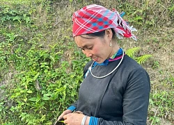 Vì sao "chị đẹp" dân tộc Tày lại trở thành hiện tượng sau Gia đình Haha: Phụ nữ phi thường dưới vẻ ngoài bình thường là đây!