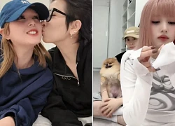 Xoài Non mượn lời fan 'giục cưới', Gil lê nói 4 chữ như 'tạt gáo nước lạnh'?