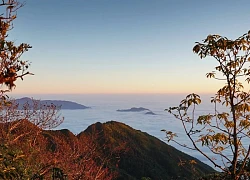 Biển mây 'như ra khỏi Trái Đất' ở Tà Xùa