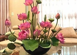 Chuyên gia chỉ vị trí bài trí hoa sen trong nhà vừa đẹp vừa kích hoạt vượng tài không phải ai cũng biết