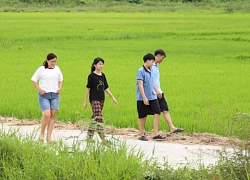 Du khách thích thú trải nghiệm du lịch 'nhà quê' ở Đà Nẵng