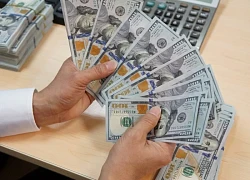 Fed đối mặt nguy cơ chia rẽ nội bộ trước khi đưa ra quyết định lãi suất