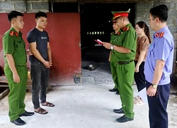 Khởi tố đối tượng mua lợn nhiễm dịch tả châu Phi về giết mổ bán kiếm lời