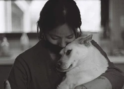 Lee Hyori tiết lộ từng bị chó cắn suýt đứt ngón tay