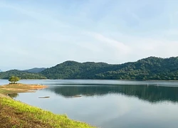 Mê mẩn hồ Phú Ninh mùa nước cạn, du khách đổ về check-in cây cô đơn