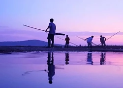 Nét mới của truyền hình thực tế