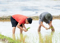 Nghệ sĩ Trung Ruồi, Duy Hưng, Hoàng Trung, Neko lần đầu cày cấy, mò cua bắt ốc