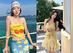 Sắc vàng rực rỡ cùng nắng hè