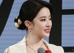 Trò lừa gạt của Lưu Diệc Phi, Triệu Lệ Dĩnh
