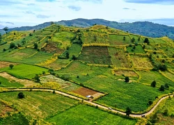 Từ đại ngàn đến biển xanh: Hành trình gắn kết qua Famtrip Gia Lai