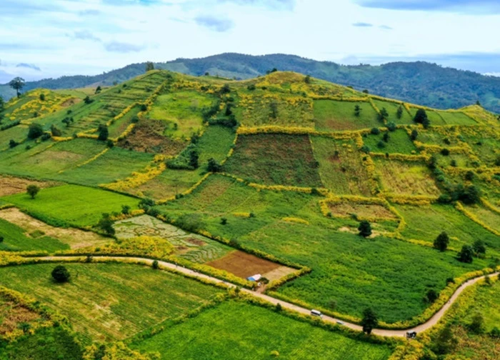 Từ đại ngàn đến biển xanh: Hành trình gắn kết qua Famtrip Gia Lai