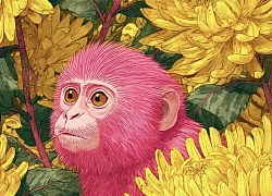 Tử vi ngày 30 tháng 7: 3 con giáp "chạm đỉnh" may mắn, tình tiền đều viên mãn