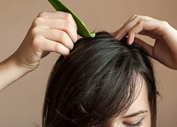 Ủ tóc bằng nha đam có tác dụng gì?