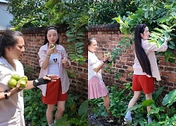 Video: Chu Thanh Huyền - vợ Quang Hải hái trộm ổi, lộ tính cách thật, còn đâu hình tượng nữ tổng tài dát hàng hiệu!