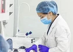 Vợ vạch trần 'bẫy tình' bằng xét nghiệm ADN thai nhi