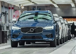 Volvo tạm dừng bán xe tại Mỹ vì thuế nhập khẩu