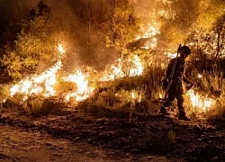 Bồ Đào Nha, Tây Ban Nha chiến đấu với làn sóng cháy rừng khắc nghiệt