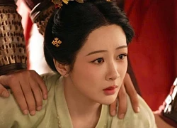 Dương Tử đi ngược lối mòn của showbiz Hoa ngữ