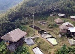 Khát vọng trên núi Hoa