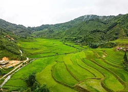 Bản Liền xanh mướt ở Lào Cai gây sốt, nhiều homestay kín lịch đặt phòng