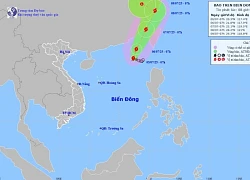 Bão số 2 hình thành trên Biển Đông giật cấp 11, sóng cao 6m