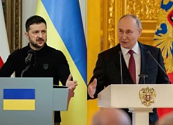 Bộ Ngoại giao Liên bang Nga nêu lý do vì sao ông Zelensky muốn gặp ông Putin