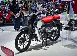 Cập nhật bảng giá xe Honda Super Cub C125 mới nhất tháng 7/2025