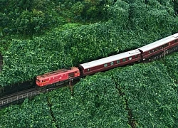 Chuyến tàu hơn 200 triệu đồng/người ở Việt Nam có gì khiến du khách mê mẩn?