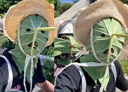 Dân mạng cười bò với trào lưu đội lá sen che mặt giữa nắng đỉnh điểm