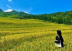 Du Già "nốt nhạc bổng" trên Cao nguyên đá